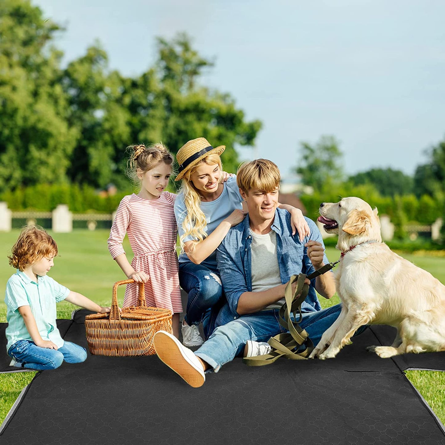 Dog Car Seat Cover for Back Seat, 2026 Upgraded 600D Heavy Duty Waterproof & Scratch-Resistant Dog Hammock for Car, Back Seat Pet Cover for Dogs with Sedan, Trucks and Suvs, Standard, Black